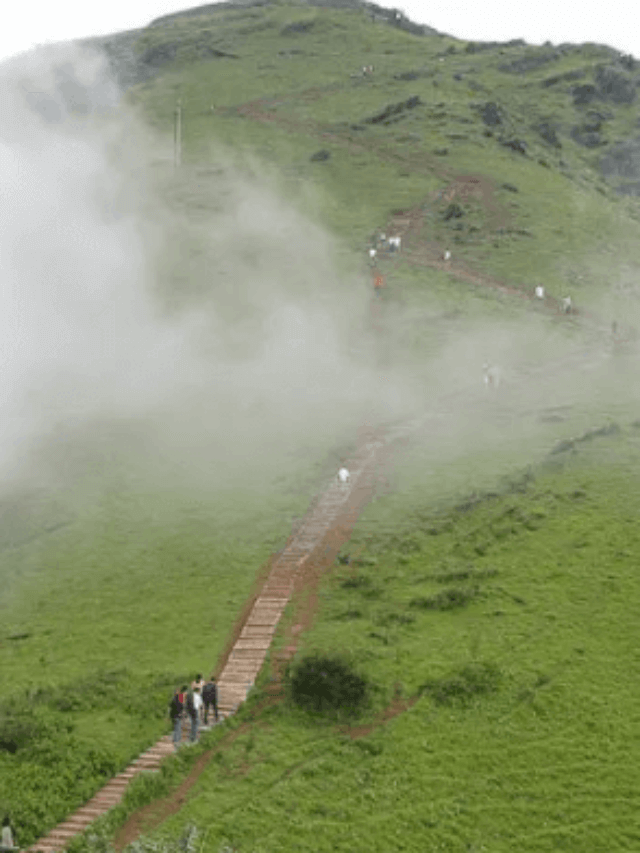 Monsoon Magic: Top Hill Stations to Visit in India become even more picturesque during the monsoon.